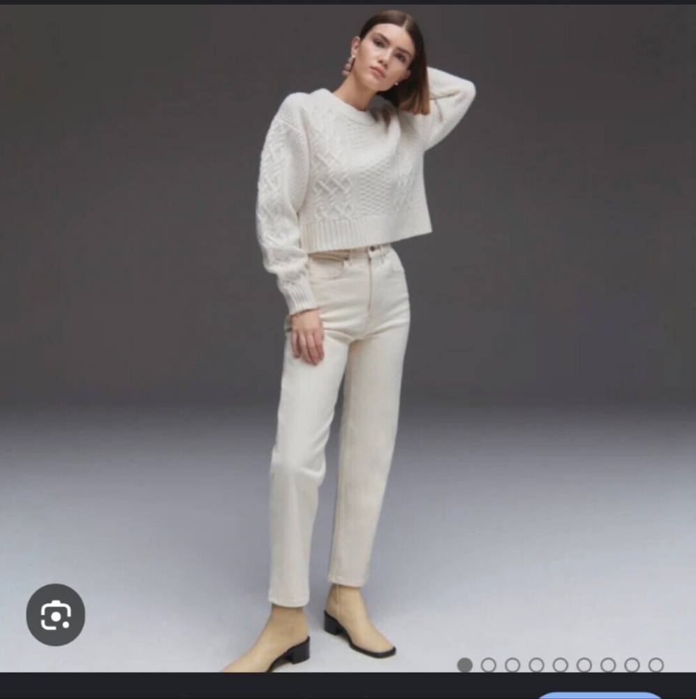 Everlane the cheeky straight jean